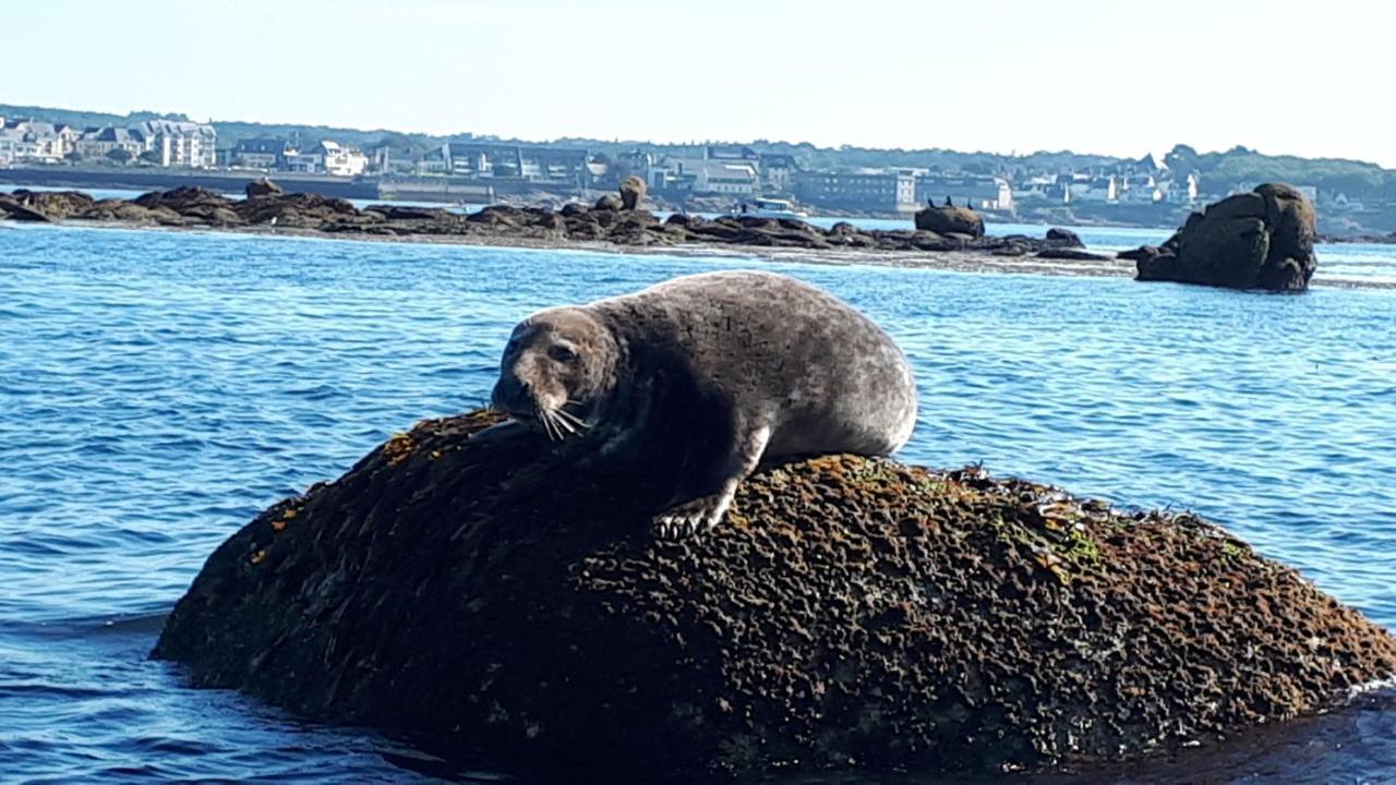 Studio face à la mer Concarneau Esterno foto